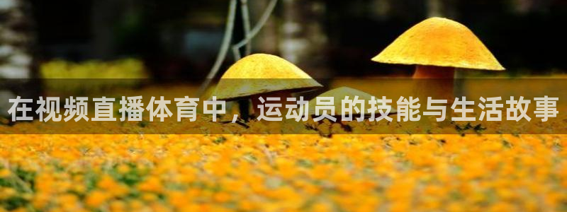 五星体育直播观看f1：在视频直播体育中，运动员的技能与生活故事