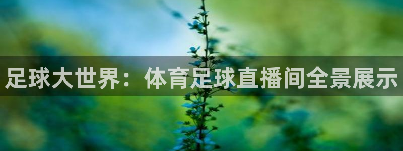 五星体育 直播观看f1：足球大世界：体育足球直播间全景展示