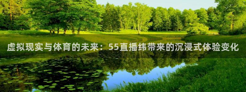 五星体育欢乐三打一：虚拟现实与体育的未来：55直播纬带来的沉浸式体验变化