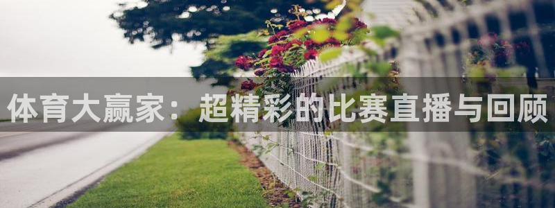 五星体育频道f1直播：体育大赢家：超精彩的比赛直播与回顾