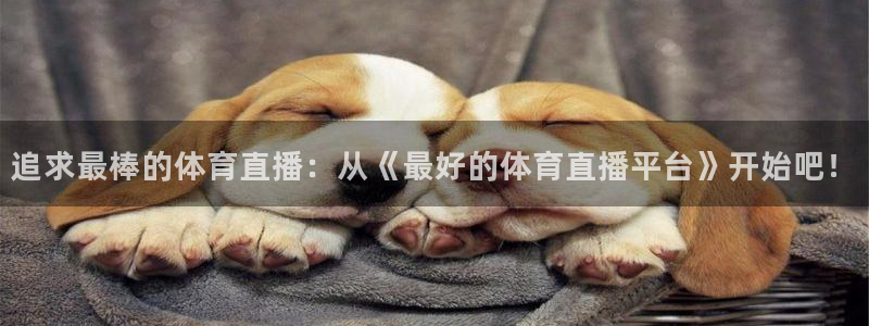 五星体育官网直播：追求最棒的体育直播：从《最好的体育直播平台》开始吧！
