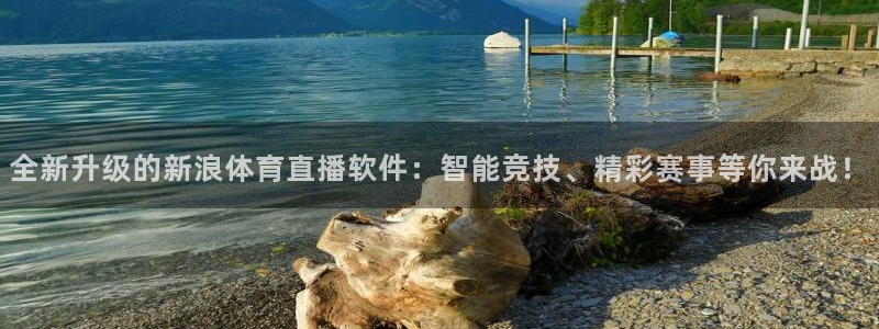 上海五星体育电台：全新升级的新浪体育直播软件：智能竞技、精彩赛事等你来战！