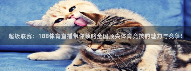 五星体育在线直播网球：超级联赛：188体育直播带你领略全国顶尖体育竞技的魅力与竞争!