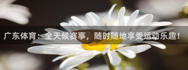 五星体育李思哲：广东体育：全天候赛事，随时随地享受运动乐趣！