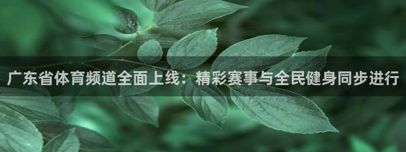 上海五星体育回放：广东省体育频道全面上线：精彩赛事与全民健身同步进行