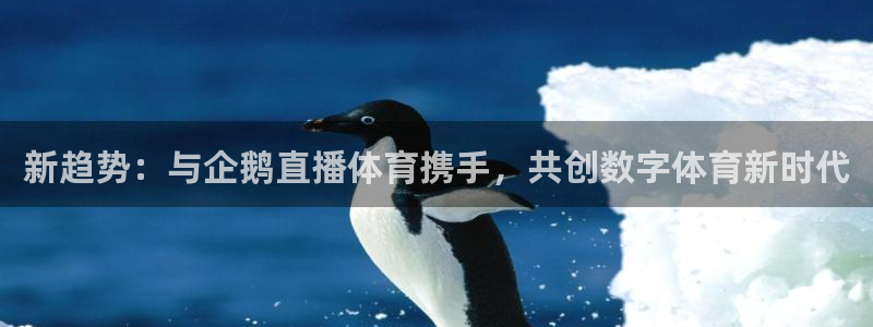 f1上海五星体育直播：新趋势：与企鹅直播体育携手，共创数字体育新时代